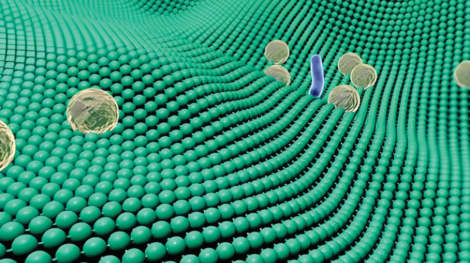 anitmicrobial-fabric-1080x648